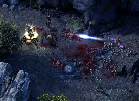 Pillars of Eternity: Un Gioco di Ruolo che Riscrive la Storia!